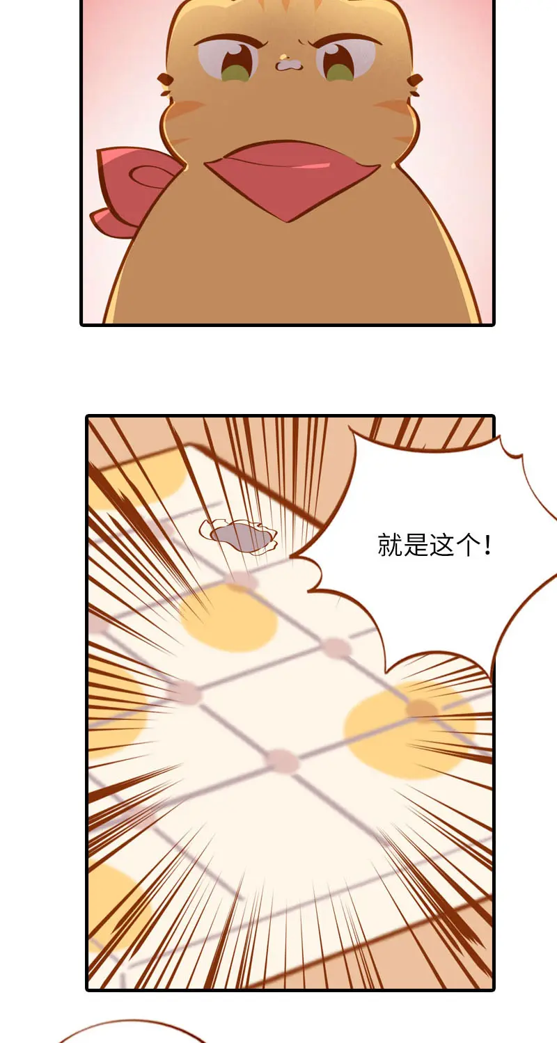 第38话 抽个盲盒 第6页