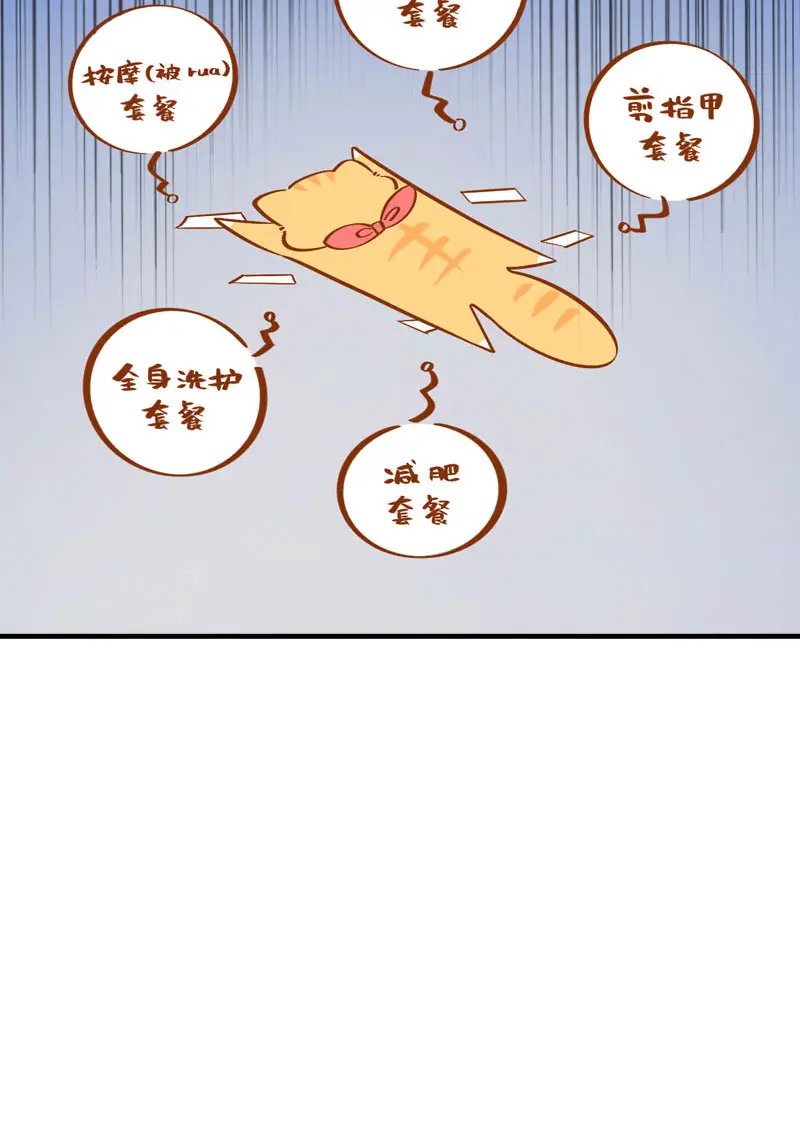 第38话 抽个盲盒 第11页