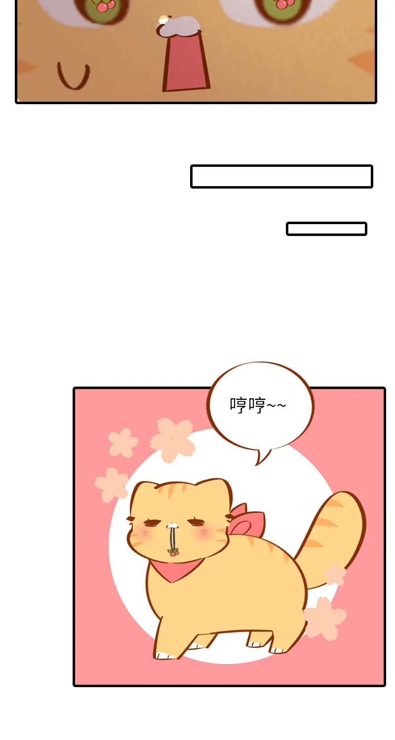 第39话 收手吧阿橘！ 第5页