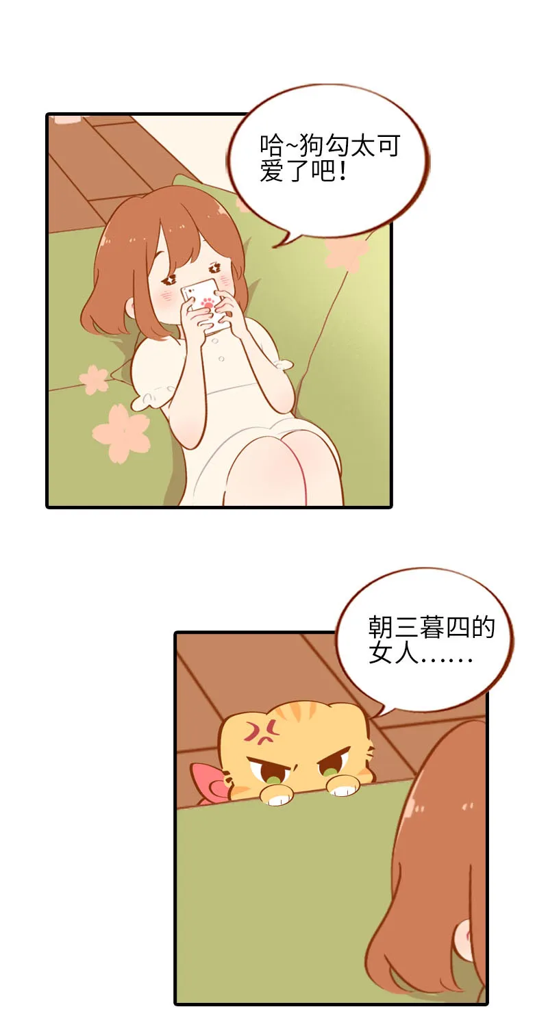 第40话 养狗一日体验 第2页