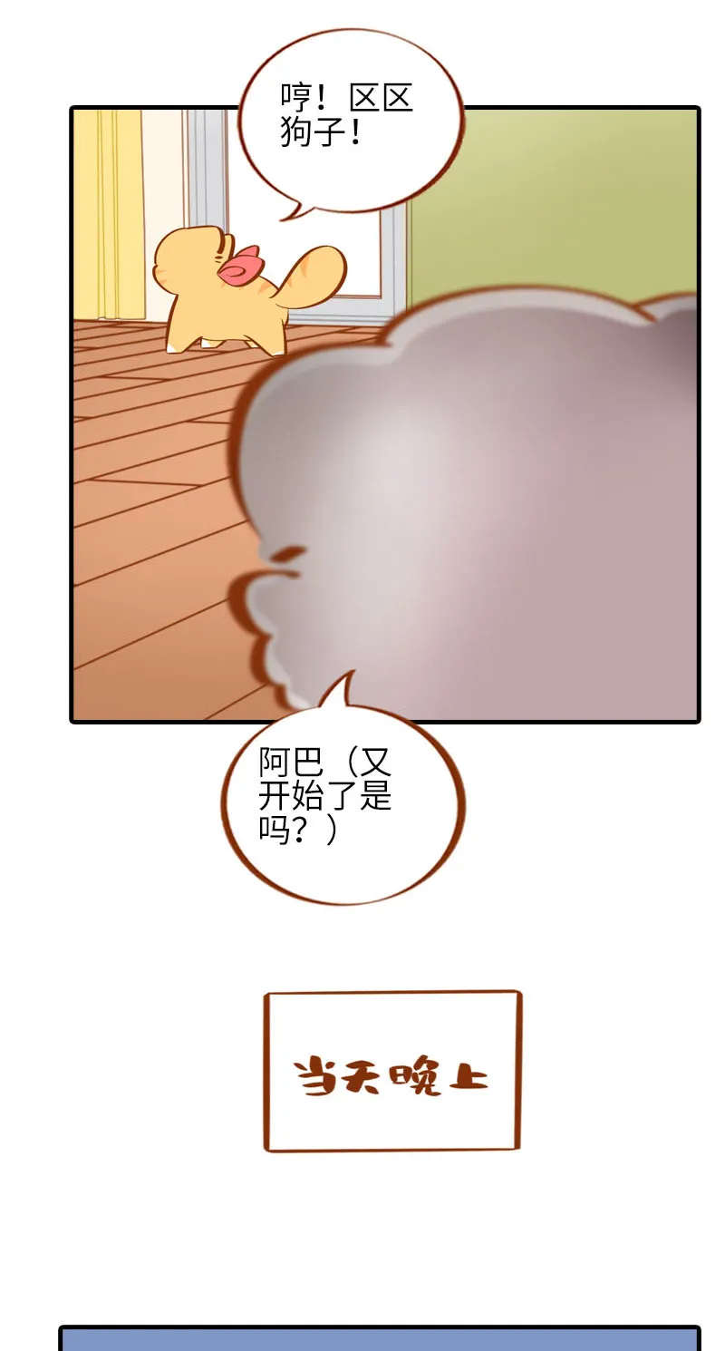 第40话 养狗一日体验 第3页