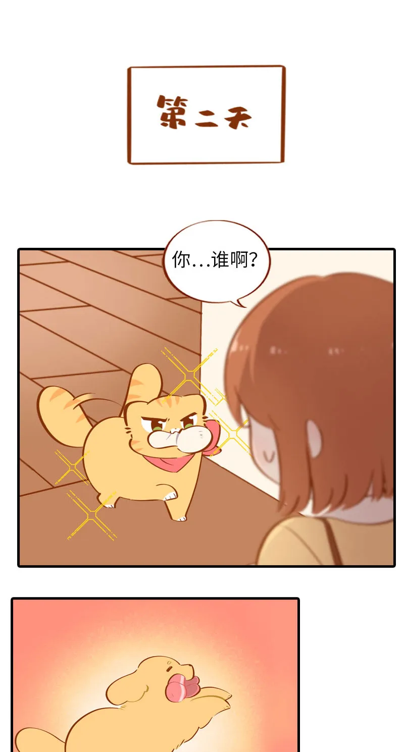 第40话 养狗一日体验 第5页