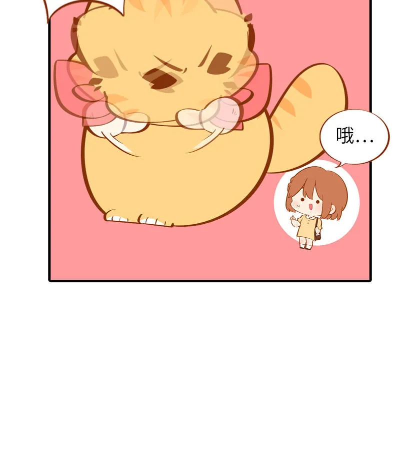 第40话 养狗一日体验 第7页