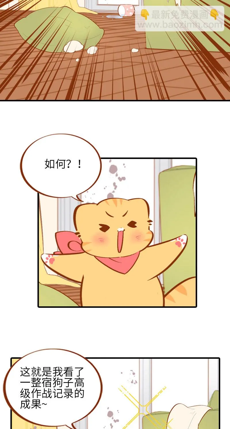 第40话 养狗一日体验 第10页