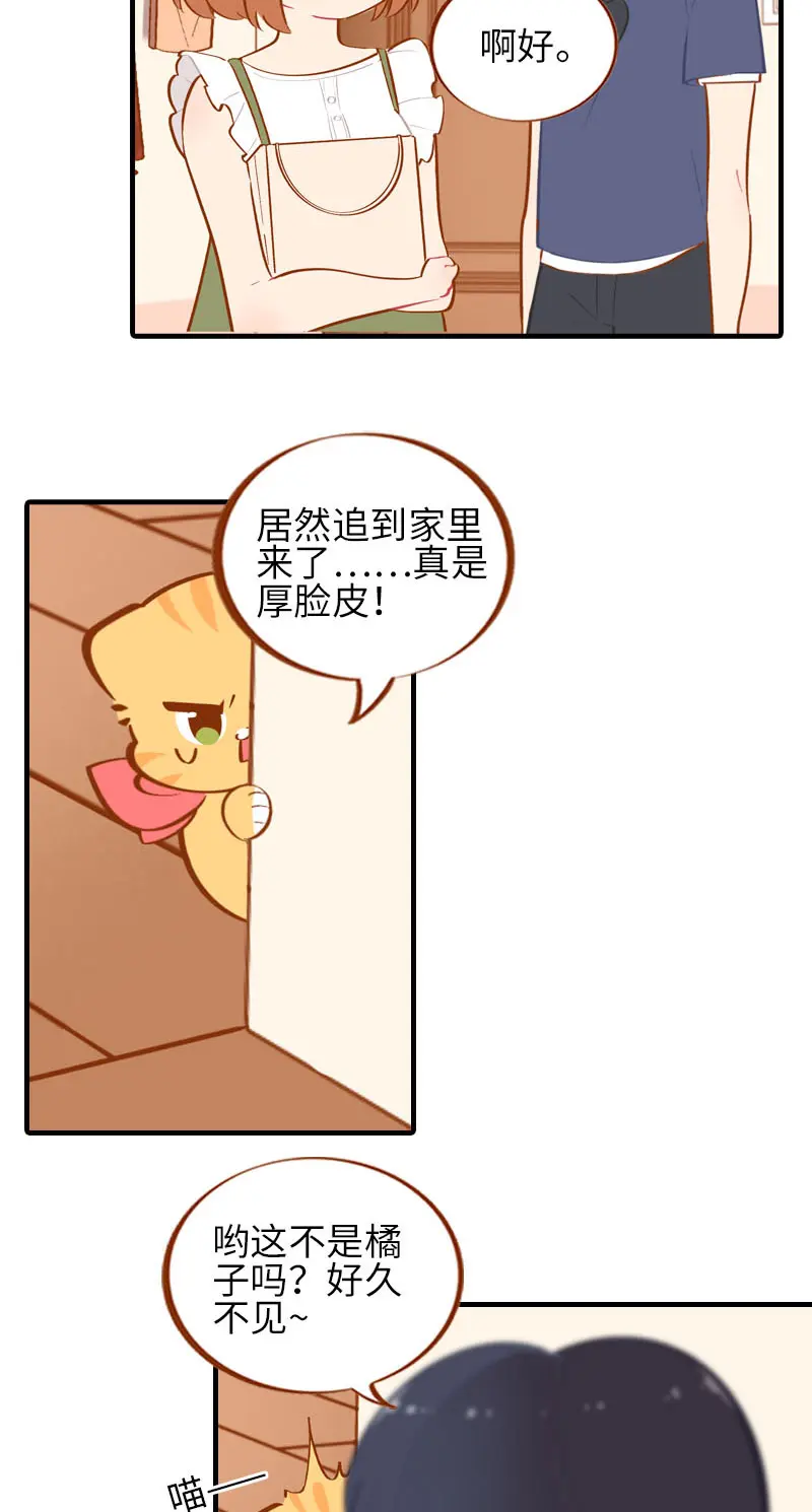 第41话 我失宠了我要离家出走！ 第3页