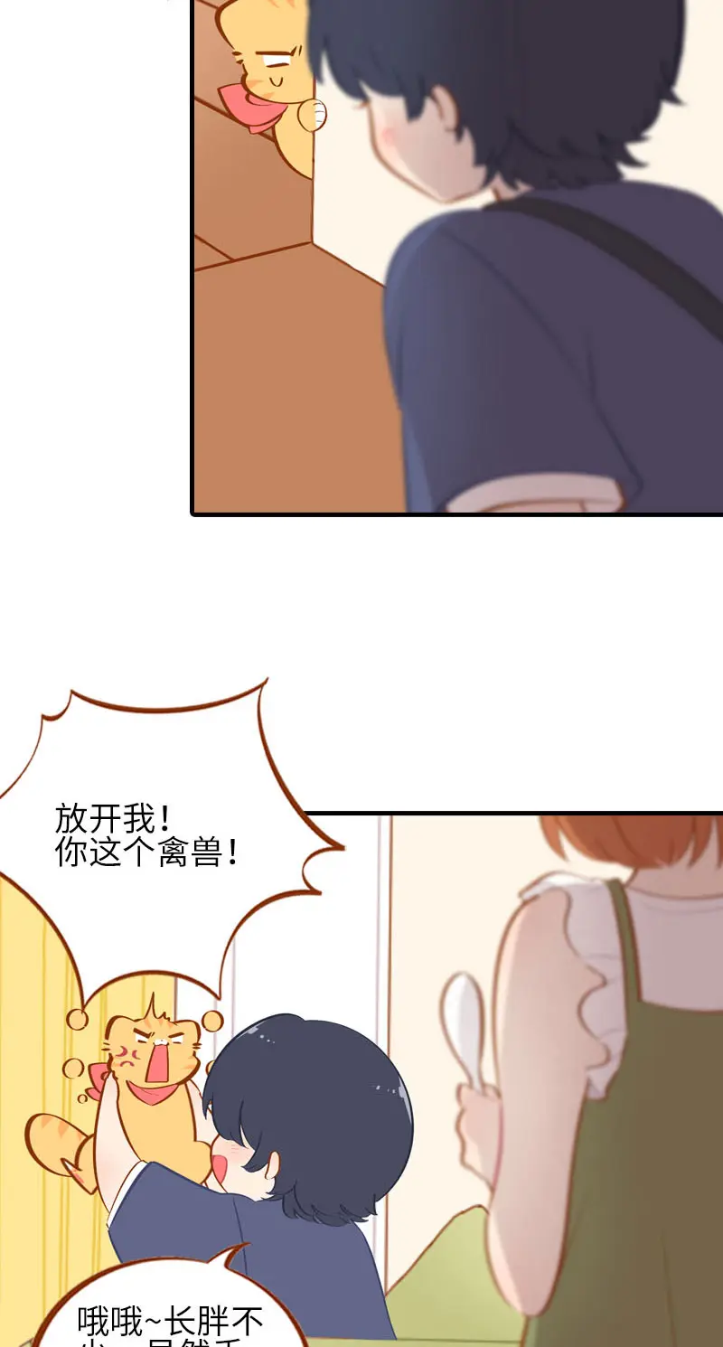 第41话 我失宠了我要离家出走！ 第4页