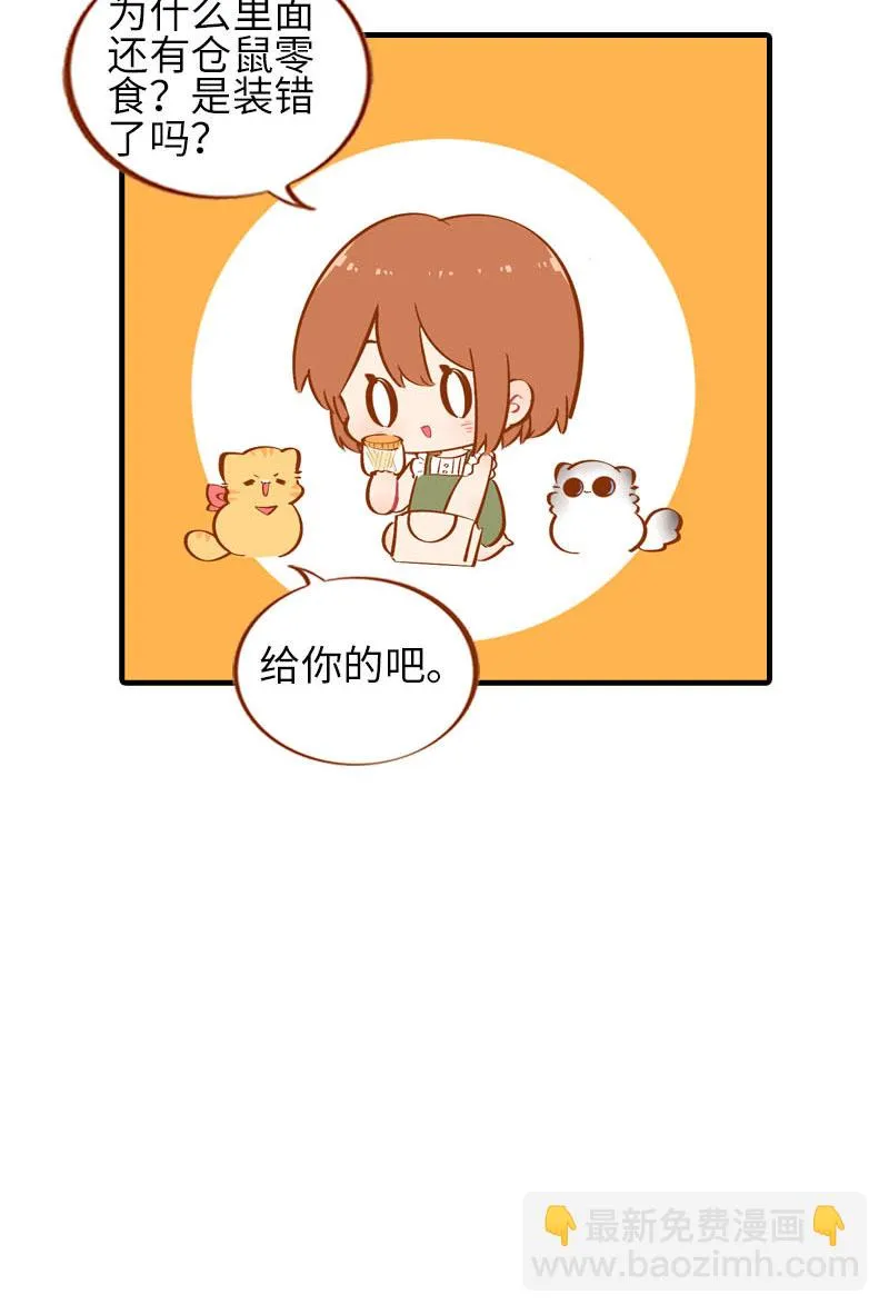 第42话 我又回来了 第11页