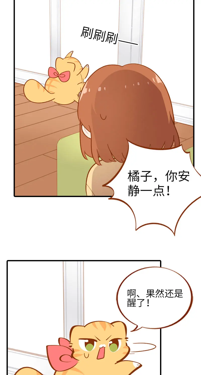 第43话 正道的光 第3页