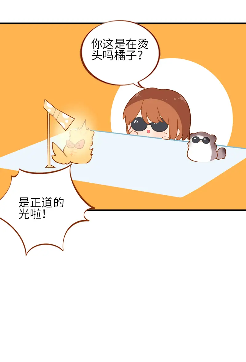 第43话 正道的光 第8页