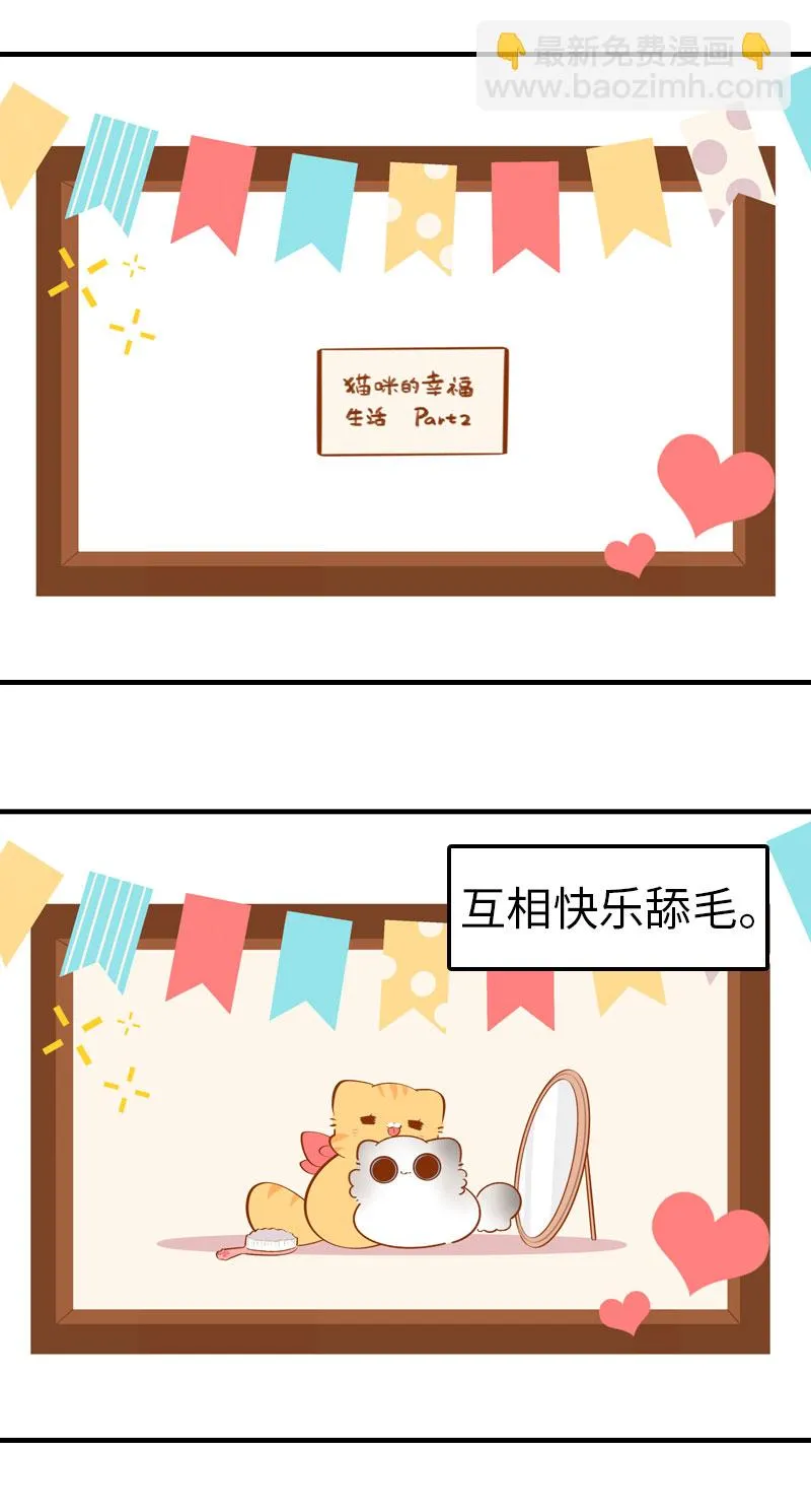 第44话 猫咪的幸福生活（现象中） 第3页