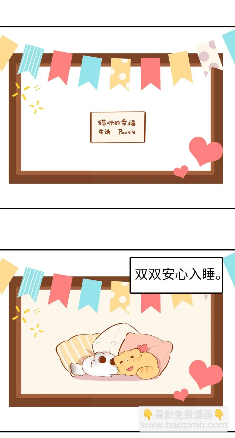 第44话 猫咪的幸福生活（现象中） 第4页