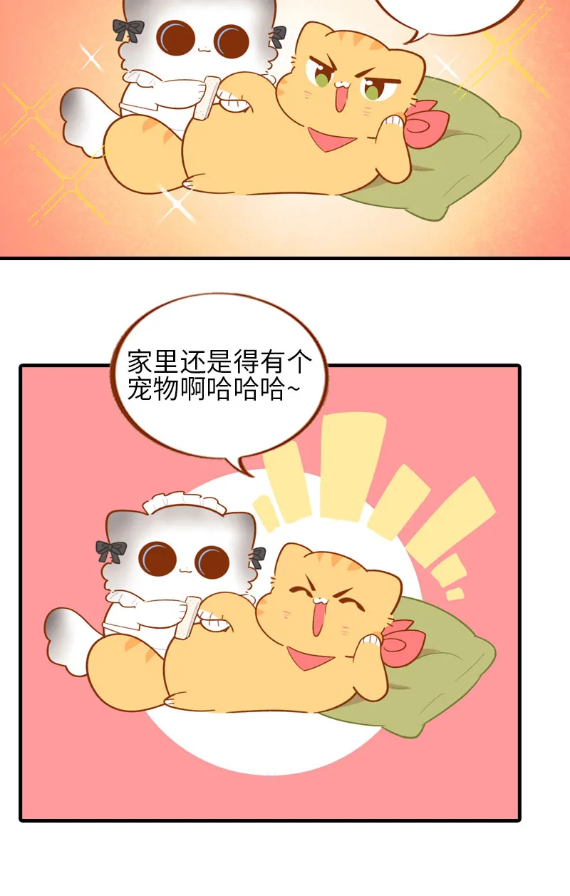 第44话 猫咪的幸福生活（现象中） 第7页