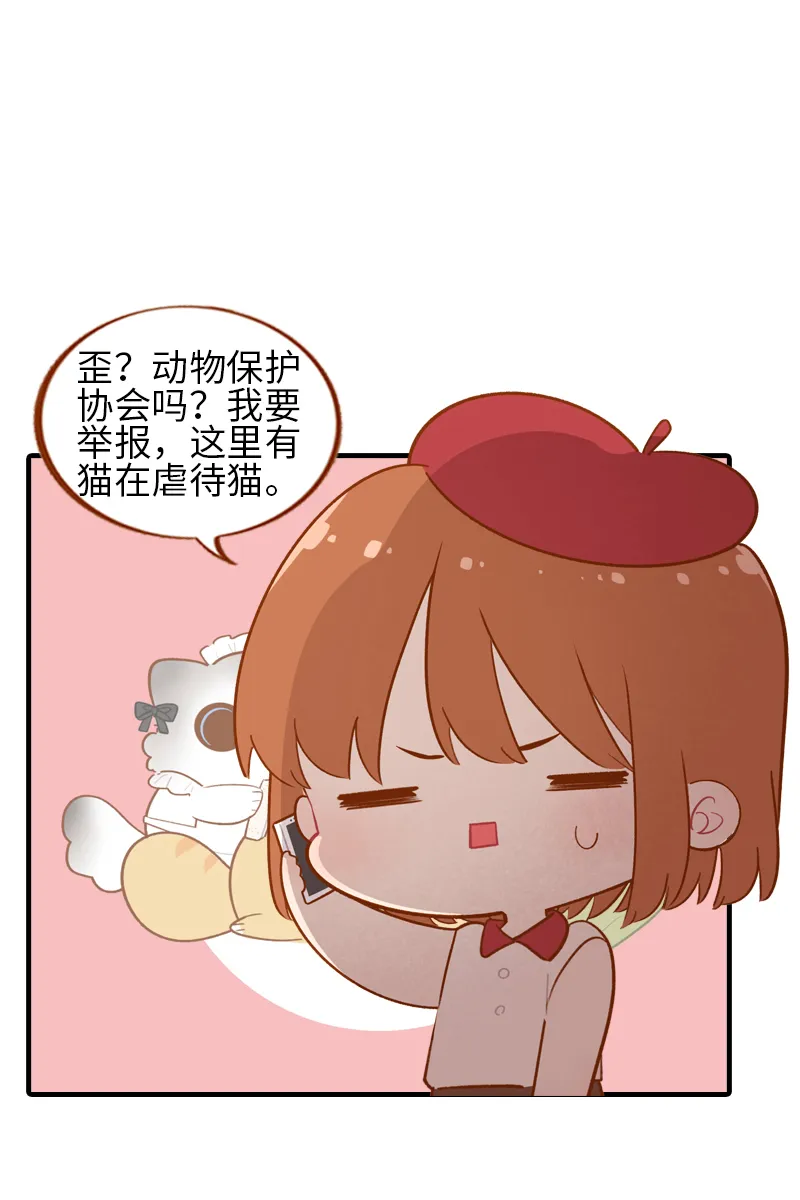 第44话 猫咪的幸福生活（现象中） 第8页
