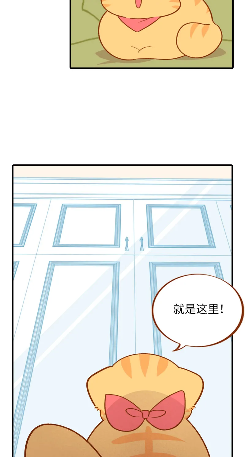 第45话 新风格大尝试 第4页