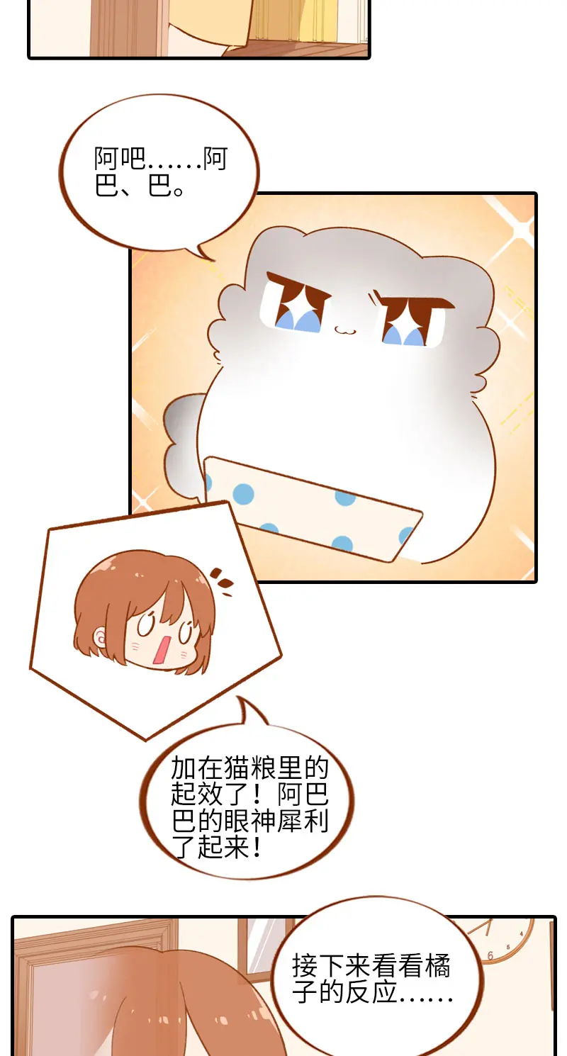 第46话 来一口猫薄荷 第3页