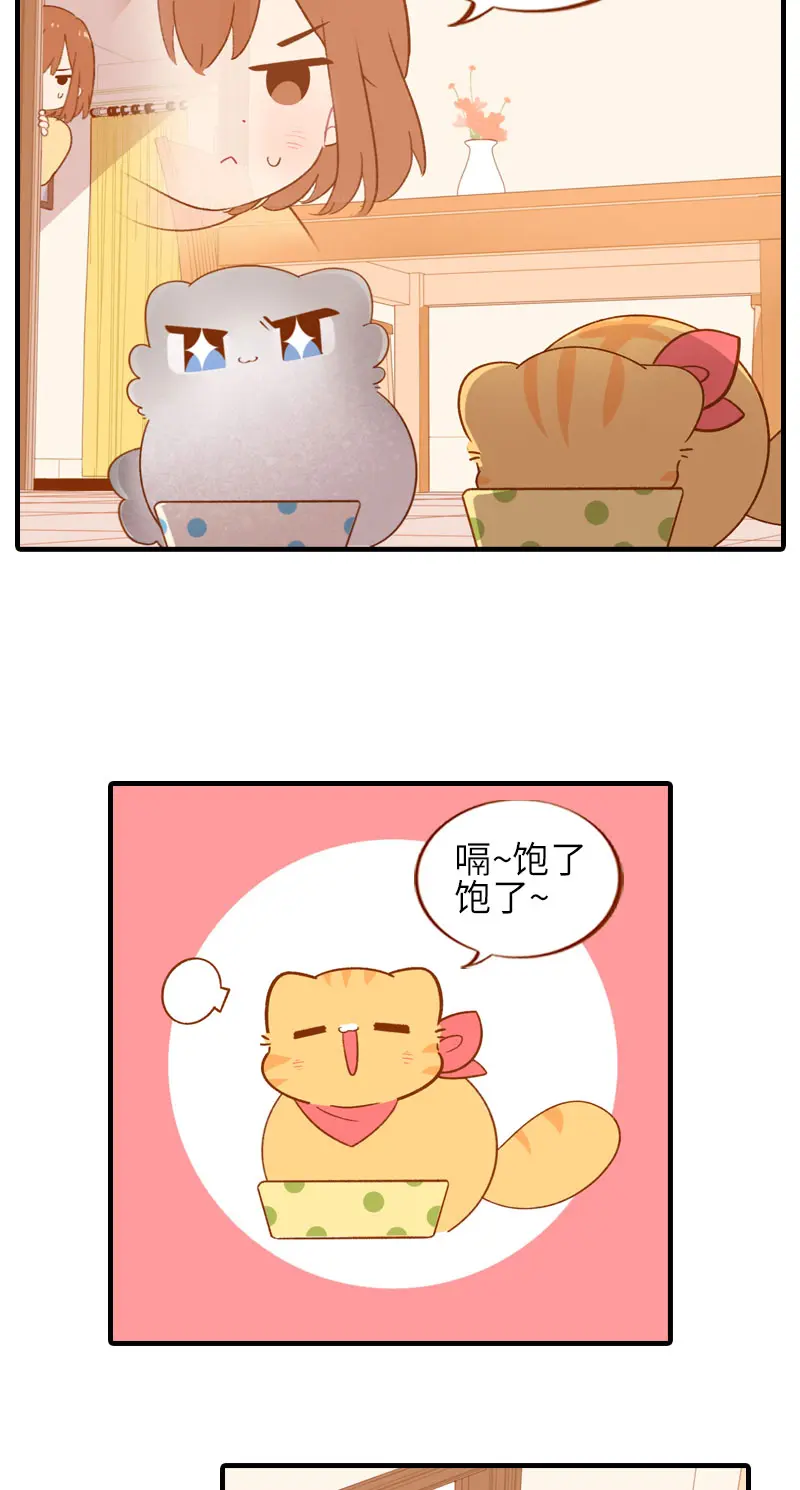 第46话 来一口猫薄荷 第4页