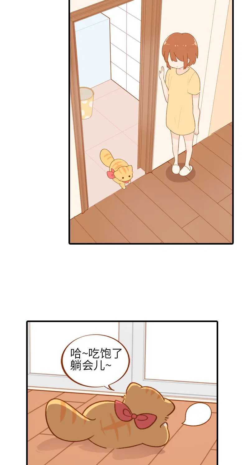 第46话 来一口猫薄荷 第5页