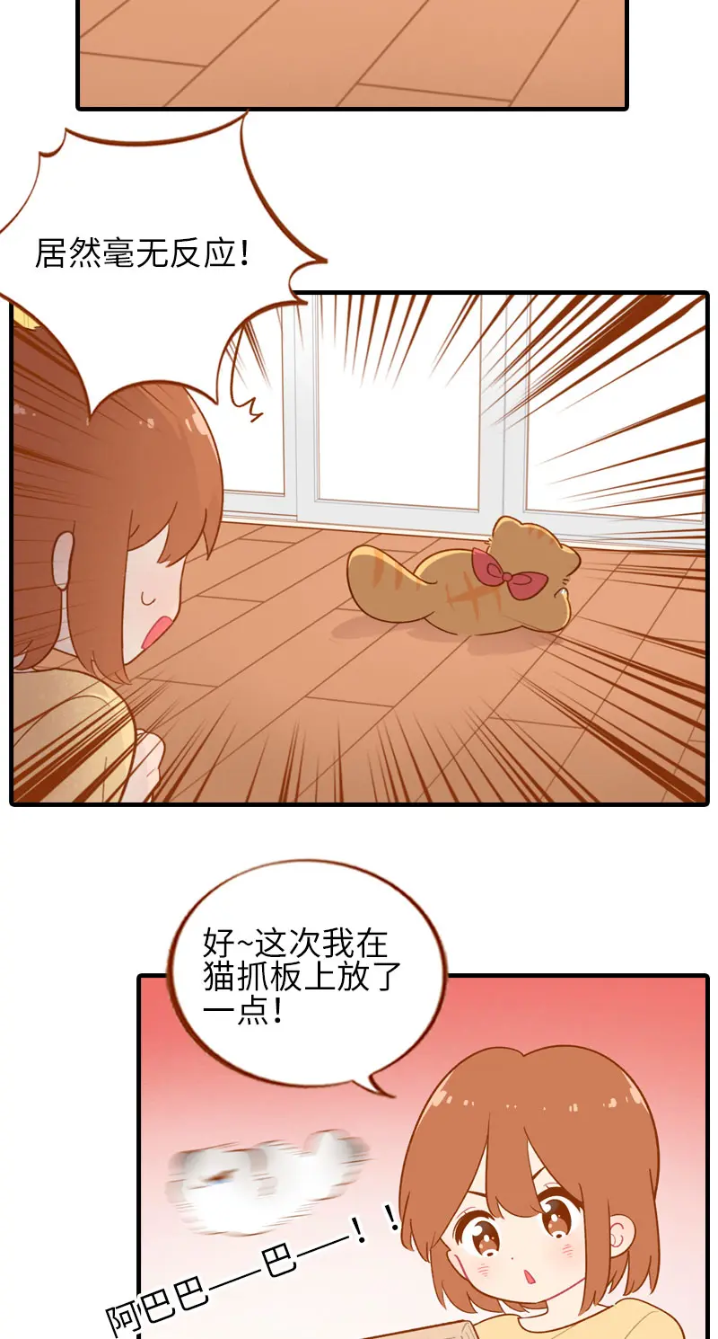 第46话 来一口猫薄荷 第6页