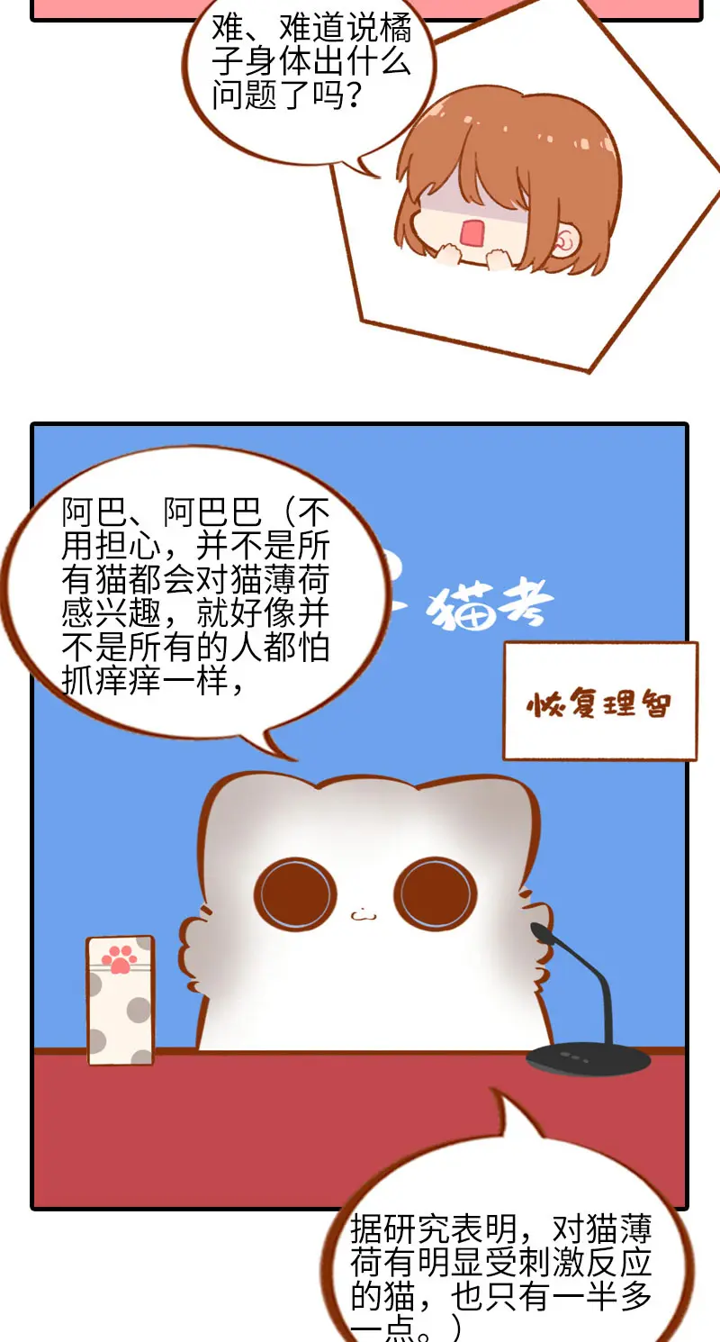 第46话 来一口猫薄荷 第9页