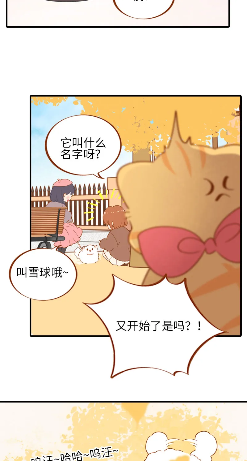 第47话 与雪球的第一次相遇 第5页