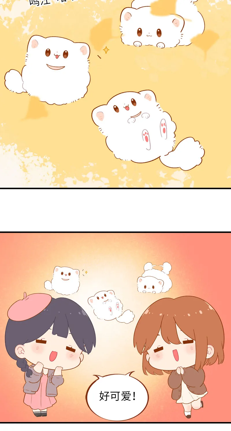 第47话 与雪球的第一次相遇 第6页