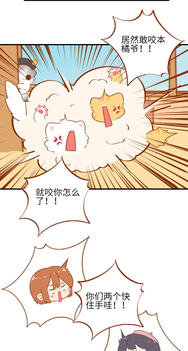 第48话 一生宿敌·雪球 第5页