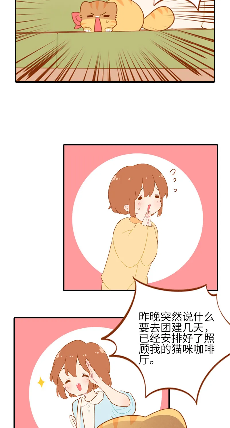第49话 橘子的本体 第3页