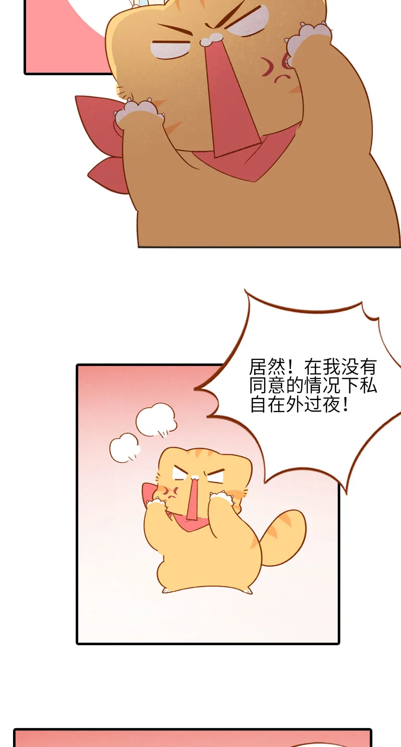 第49话 橘子的本体 第4页