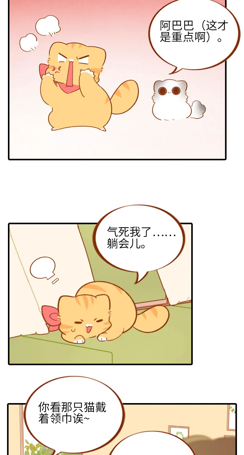 第49话 橘子的本体 第5页