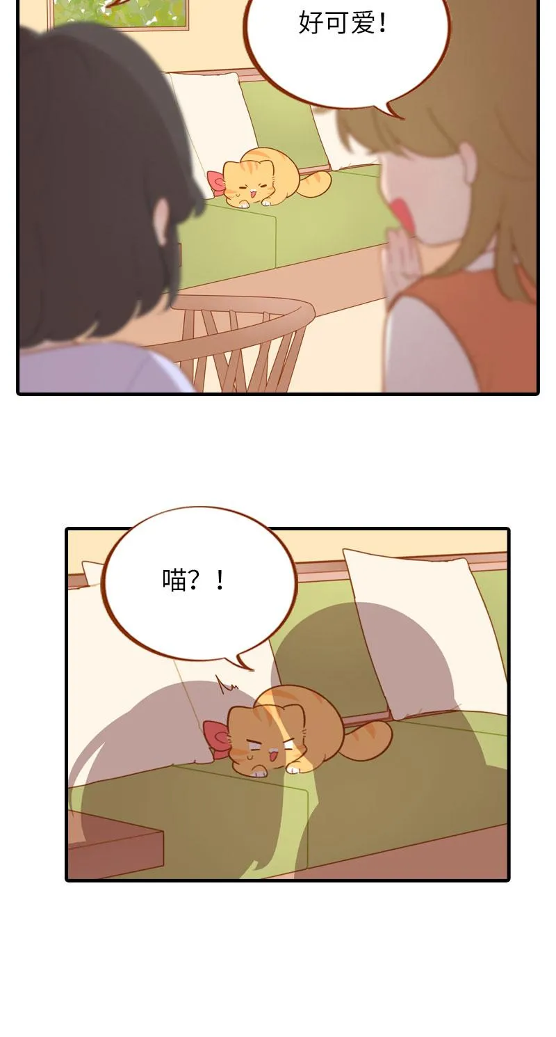 第49话 橘子的本体 第6页