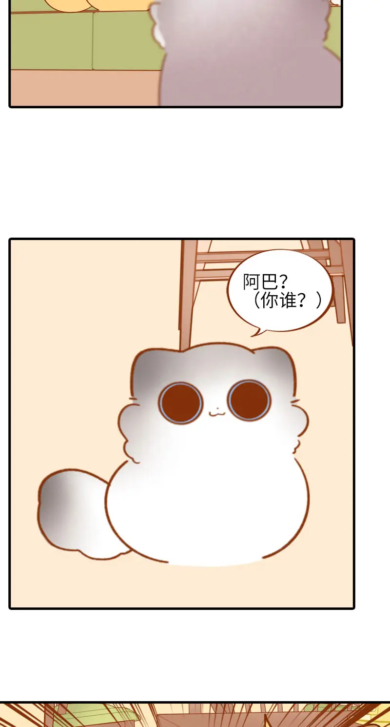 第50话 以为自己被抛弃的橘子 第5页