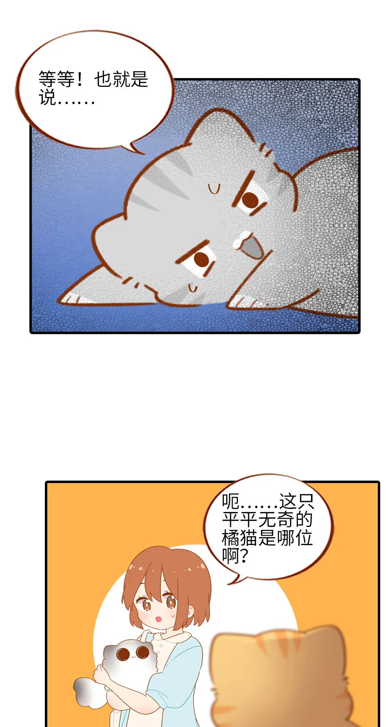 第50话 以为自己被抛弃的橘子 第8页
