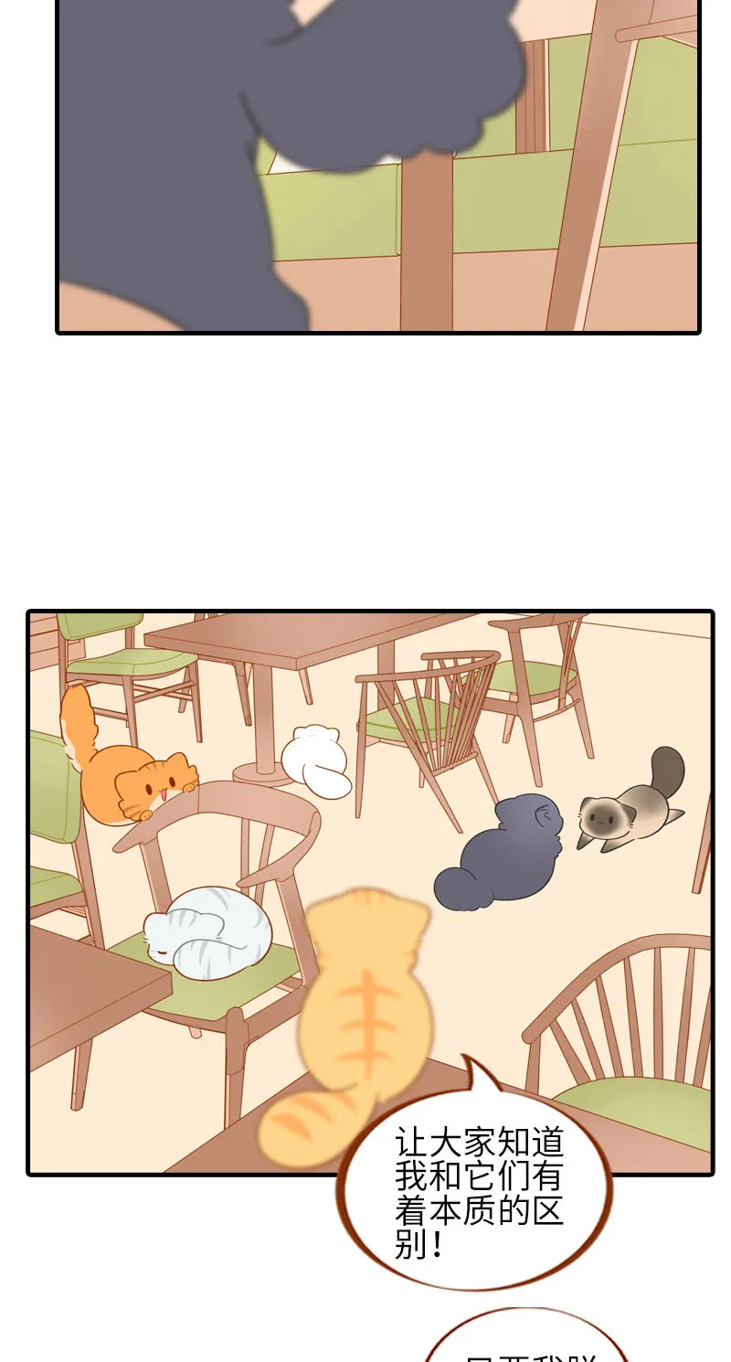 第51话 橘爷我不会被命运打败！ 第3页
