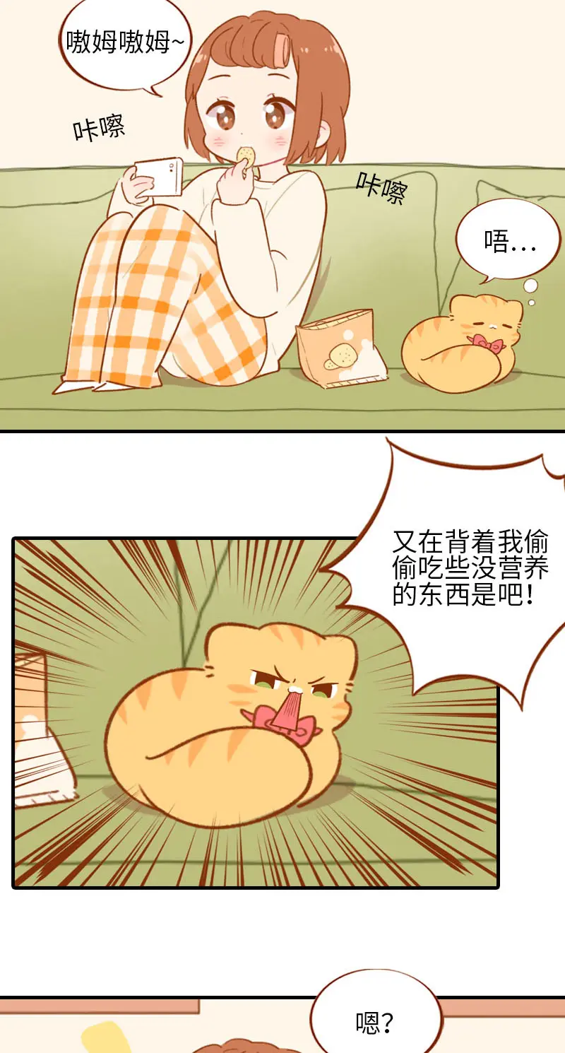 第53话 猫咪翻译机 第5页