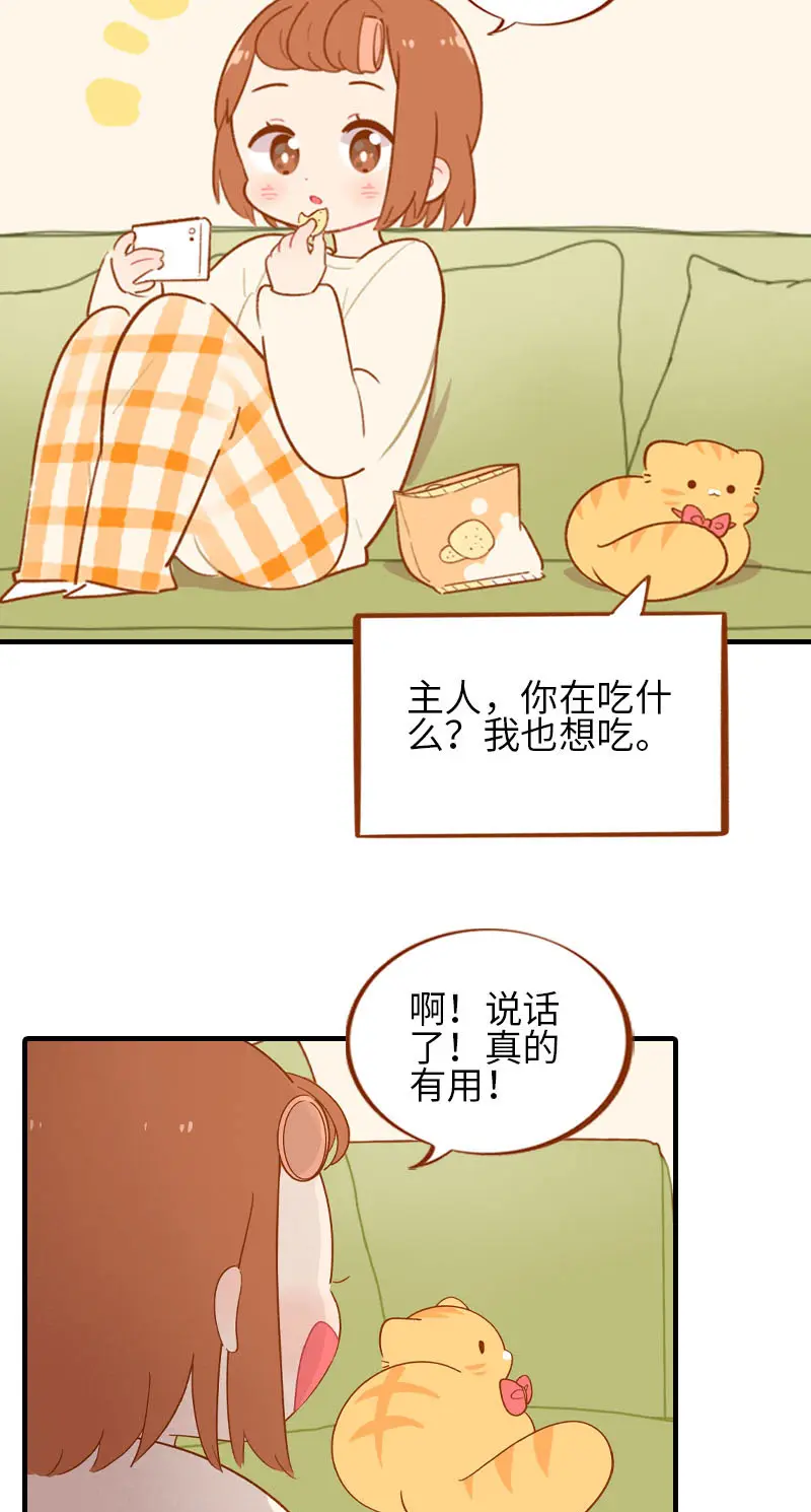 第53话 猫咪翻译机 第6页