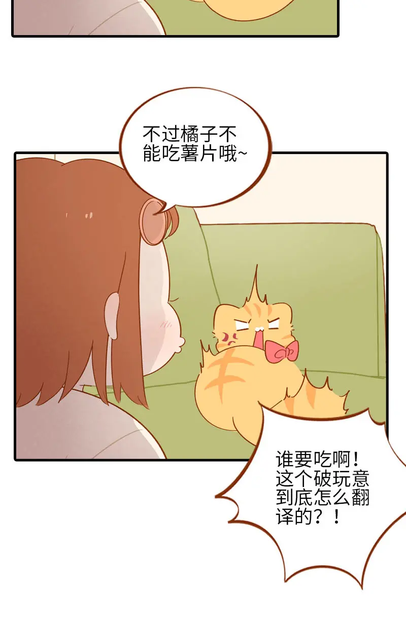第53话 猫咪翻译机 第7页