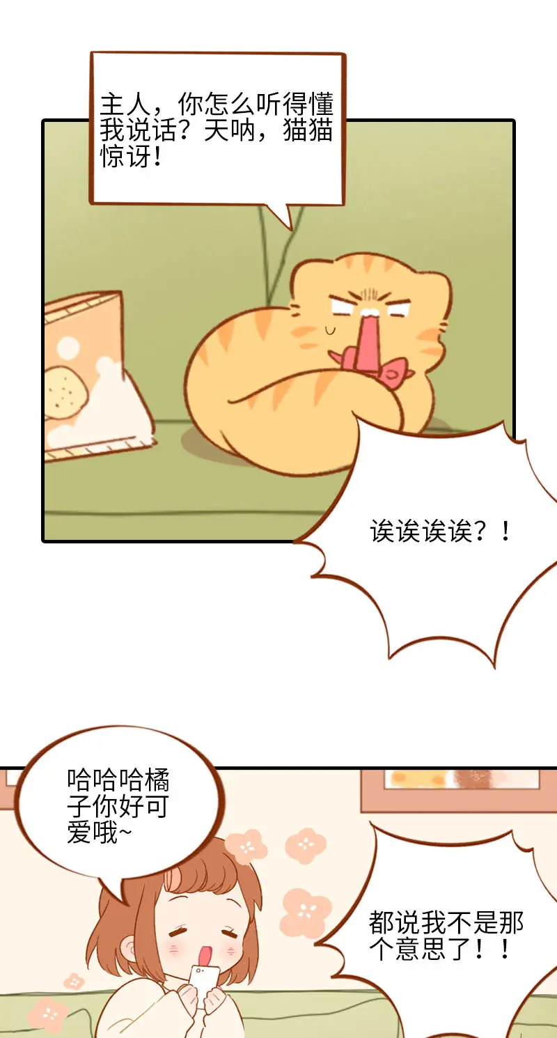 第53话 猫咪翻译机 第8页