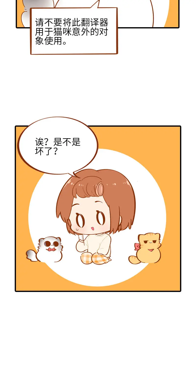第53话 猫咪翻译机 第11页
