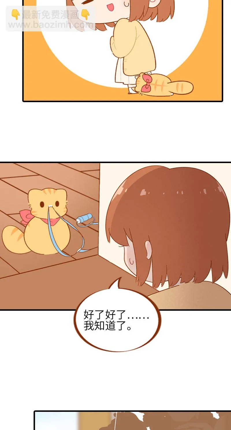 第54话 又是你——雪球！ 第3页