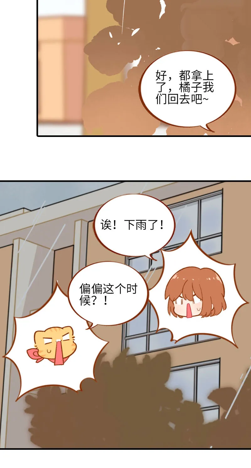 第54话 又是你——雪球！ 第4页