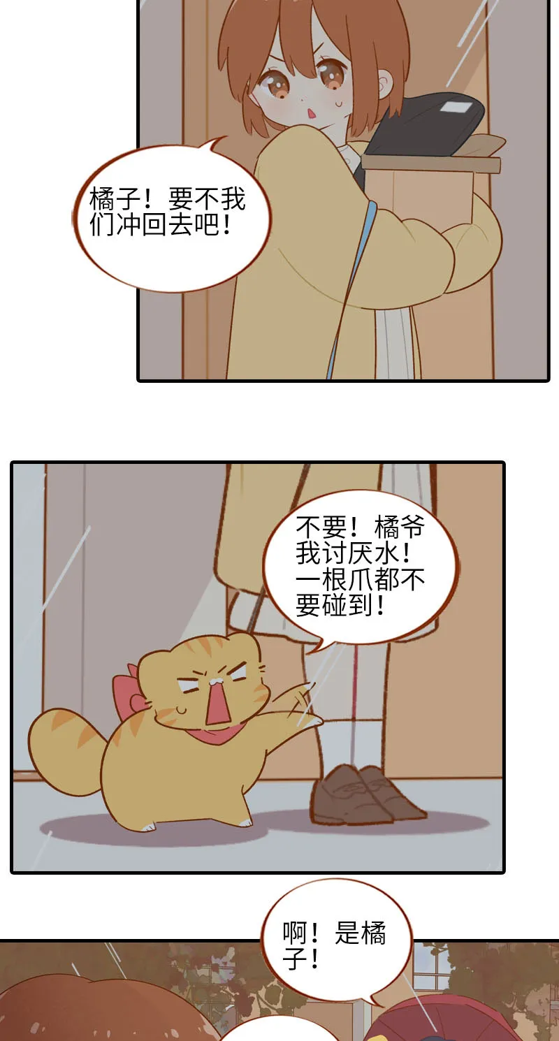 第54话 又是你——雪球！ 第6页