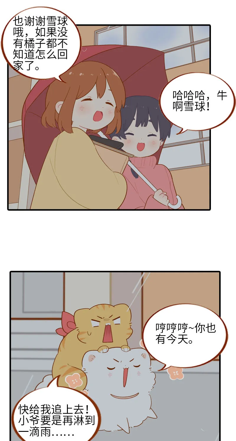 第54话 又是你——雪球！ 第8页