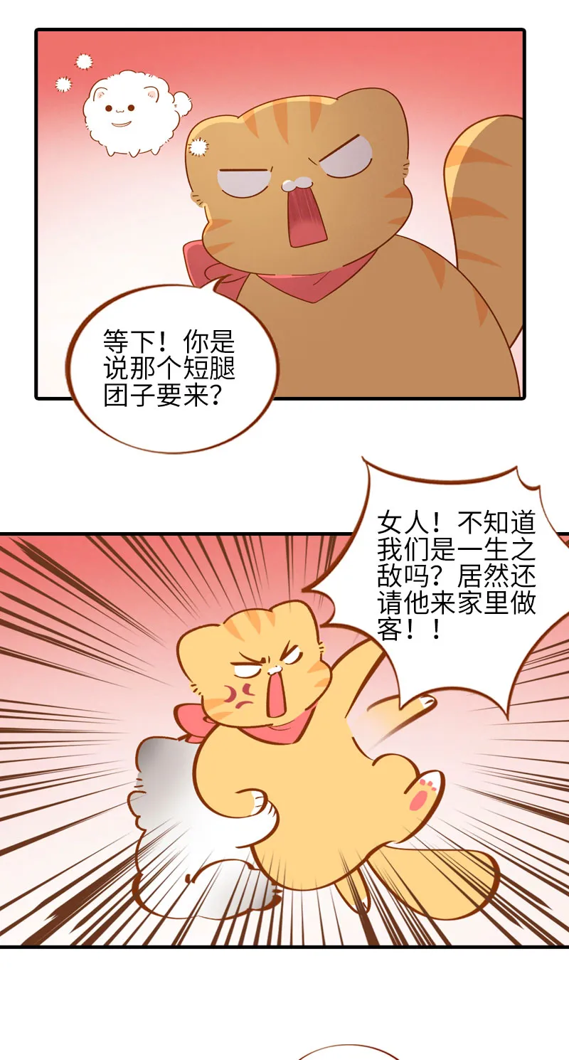 第55话 短腿团子来家做客！ 第5页