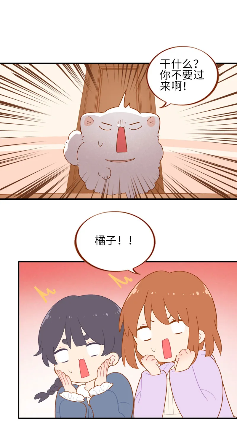 第55话 短腿团子来家做客！ 第8页