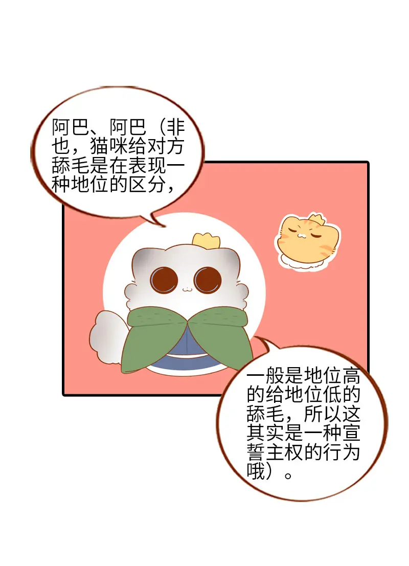 第55话 短腿团子来家做客！ 第10页
