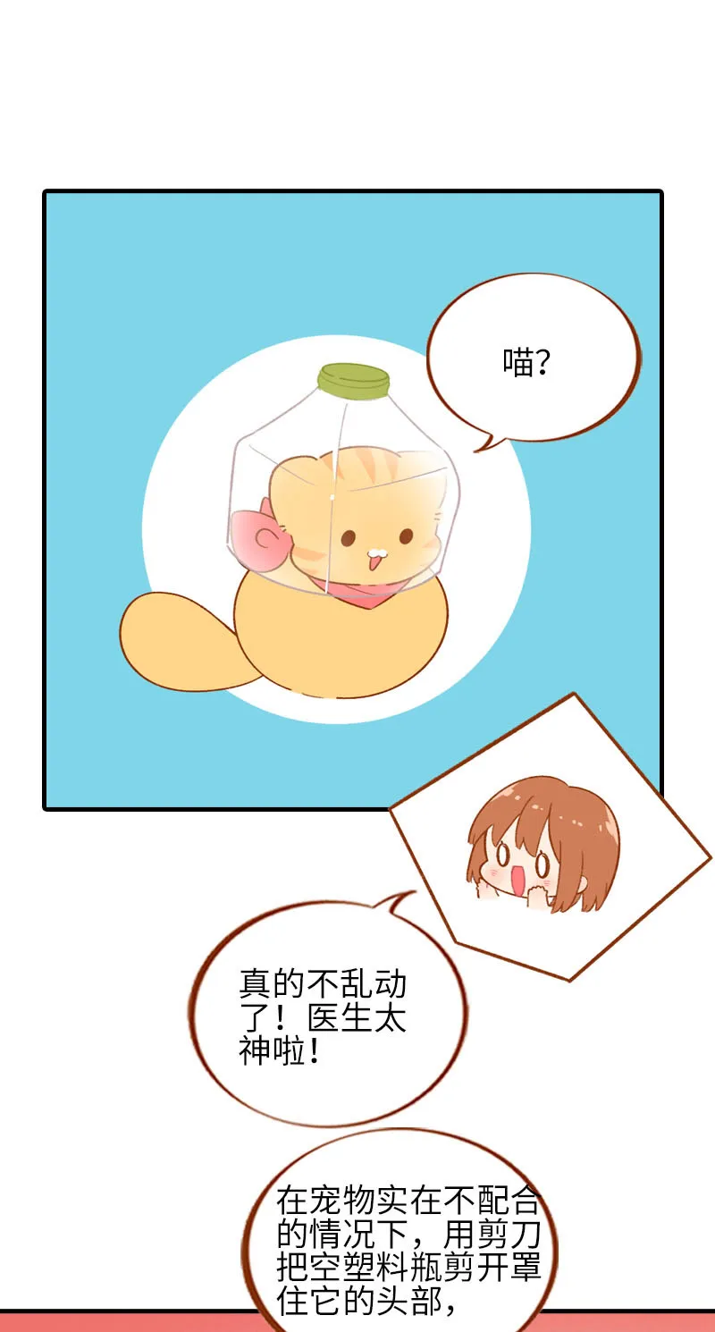 第56话 任人宰割的小猫咪 第6页