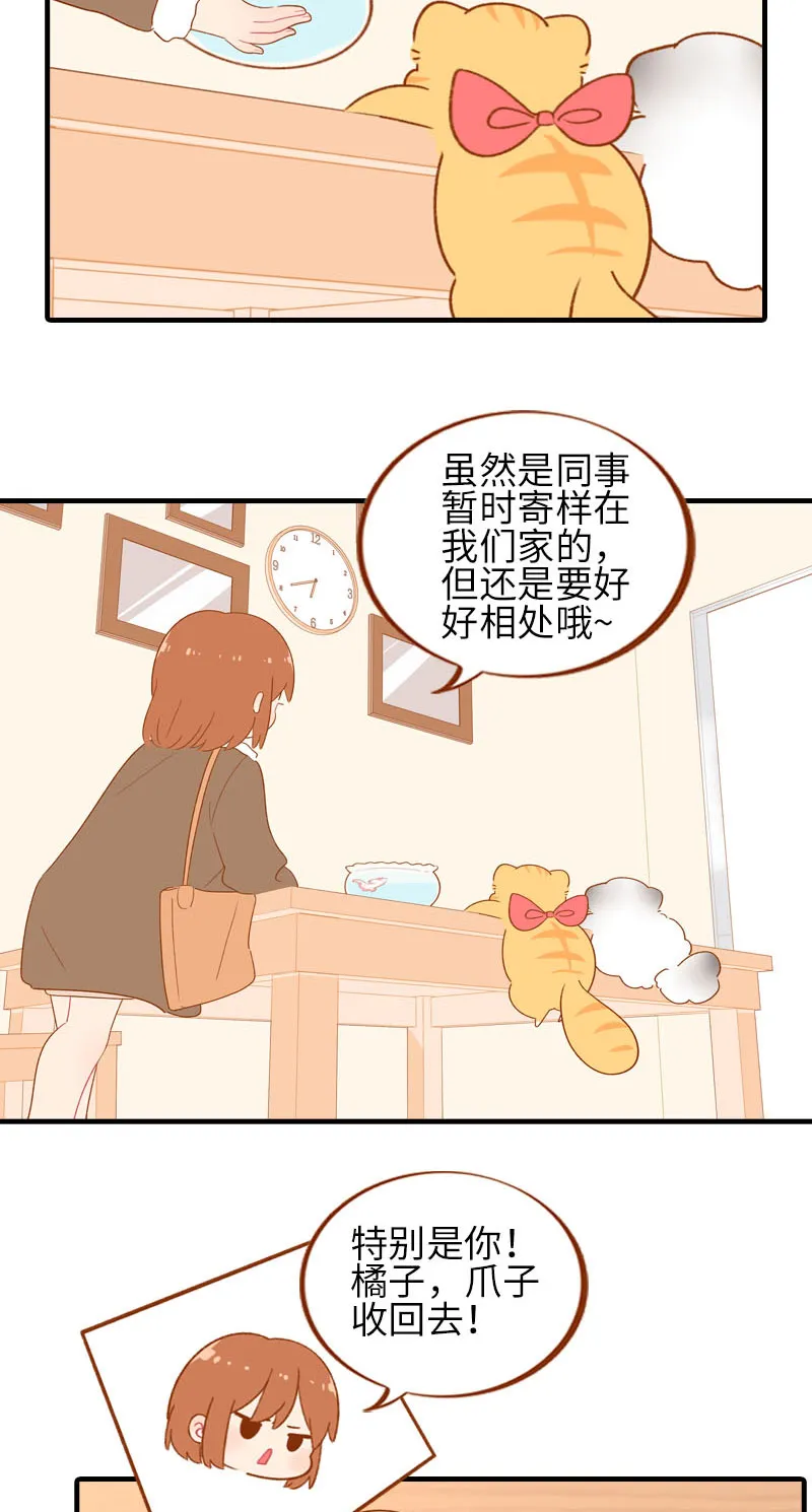第57话 谁还吃观赏鱼啊~ 第3页