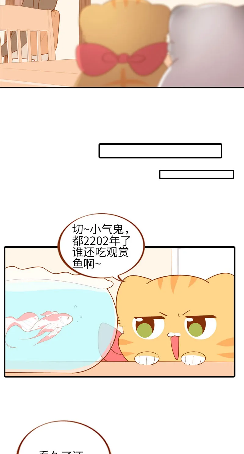 第57话 谁还吃观赏鱼啊~ 第5页
