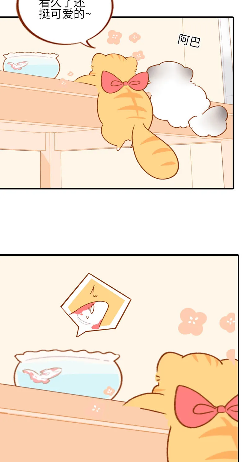 第57话 谁还吃观赏鱼啊~ 第6页