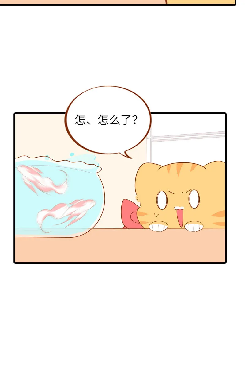 第57话 谁还吃观赏鱼啊~ 第7页